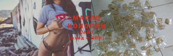 крисы Абаза