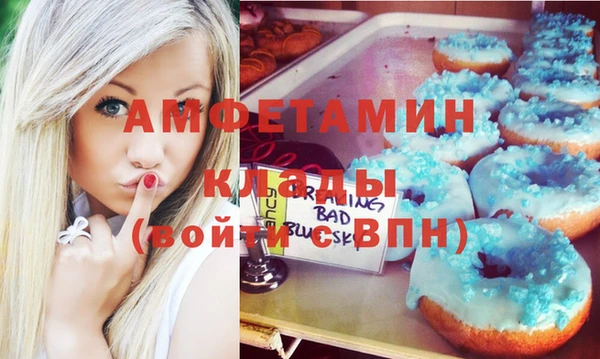 крисы Абаза