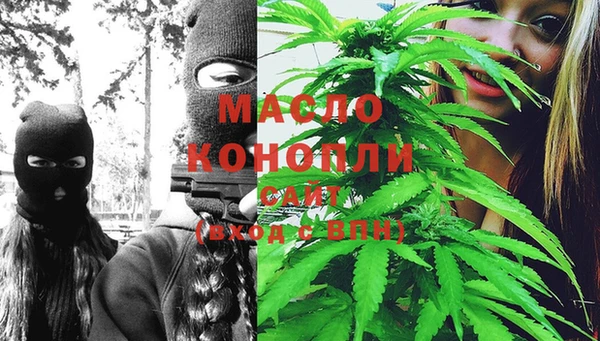 крисы Абаза