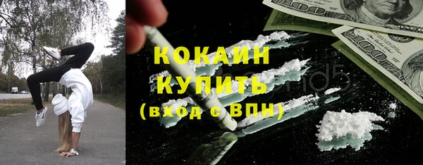 крисы Абаза