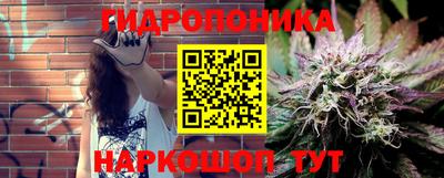 прущие крисы Жуковский