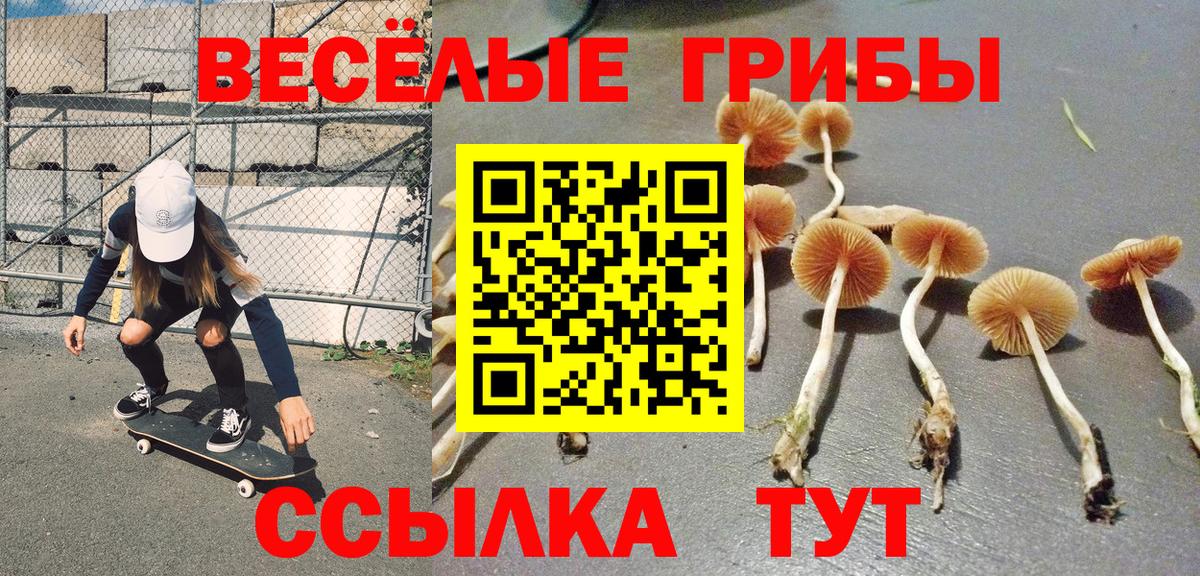 Галлюциногенные грибы прущие грибы  цена наркотик  Воронеж  Галлюциногенные грибы Magic Shrooms  Вход с VPN 